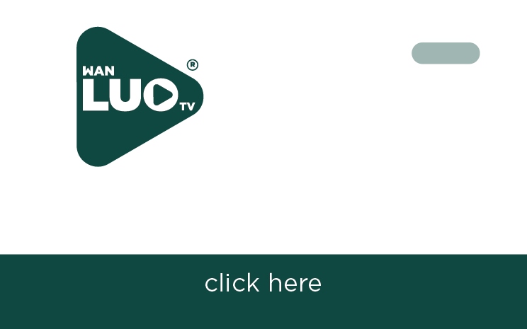 Wan Luo TV